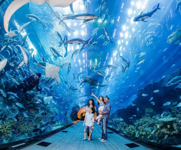 dubai-aquarium-and-underwater-zoo